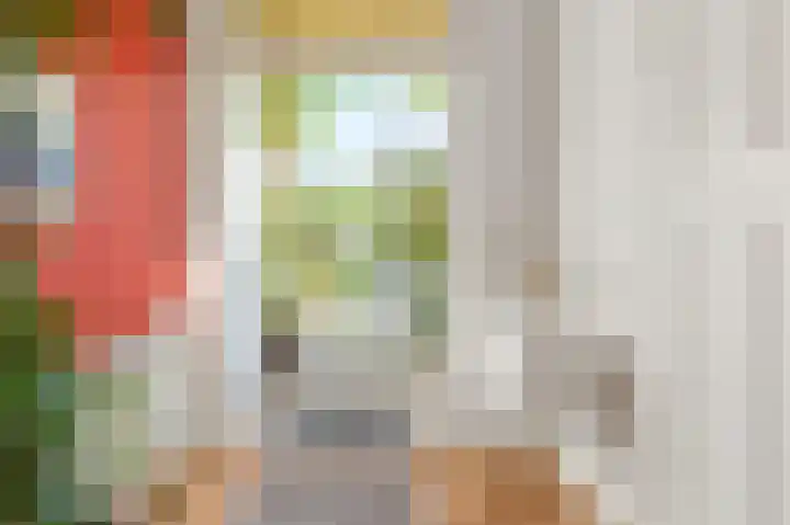 Soestdijksekade 4 Den Haag thumbnail 13