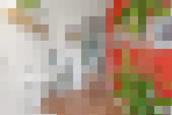 Soestdijksekade 4 Den Haag thumbnail 14