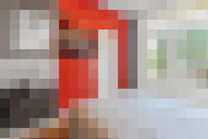 Soestdijksekade 4 Den Haag thumbnail 17