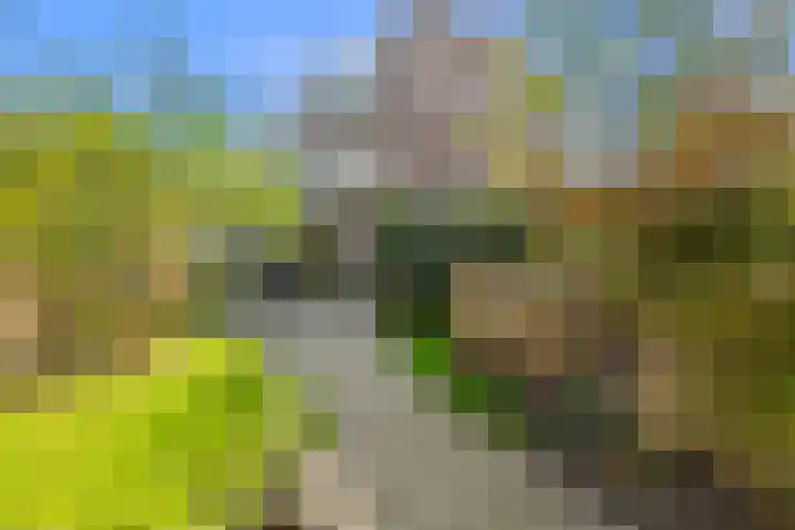 Soestdijksekade 4 Den Haag thumbnail 18