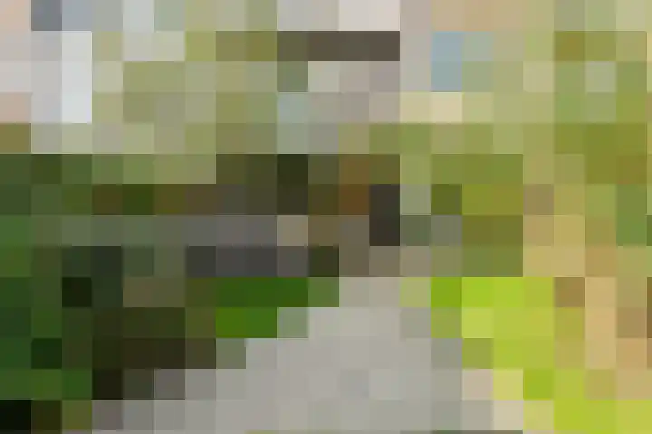 Soestdijksekade 4 Den Haag thumbnail 20