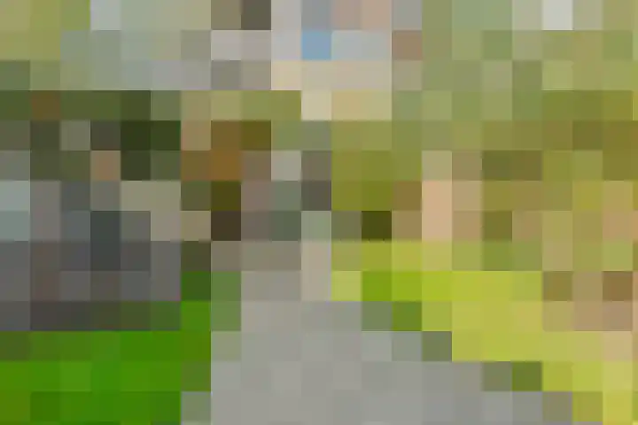 Soestdijksekade 4 Den Haag thumbnail 21