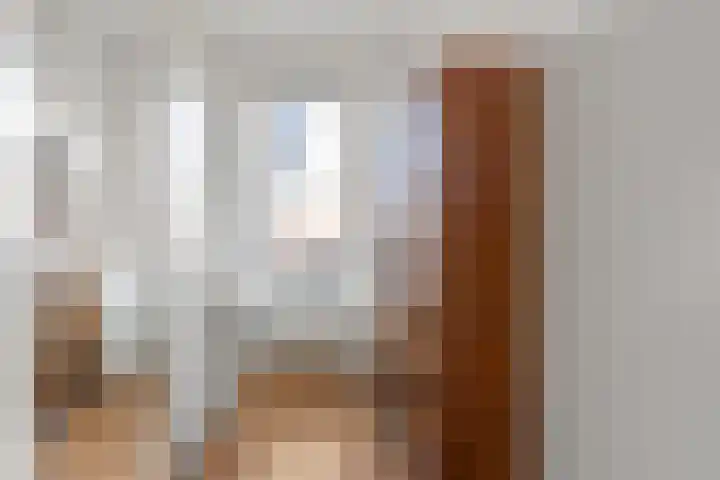 Soestdijksekade 4 Den Haag thumbnail 23