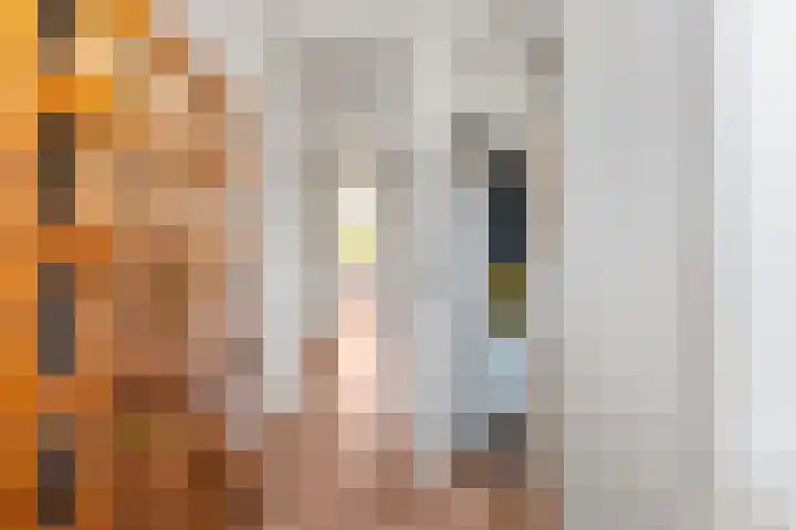 Soestdijksekade 4 Den Haag thumbnail 24