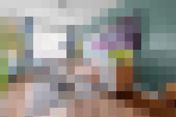 Soestdijksekade 4 Den Haag thumbnail 4