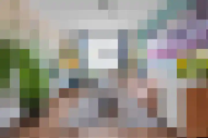 Soestdijksekade 4 Den Haag thumbnail 5