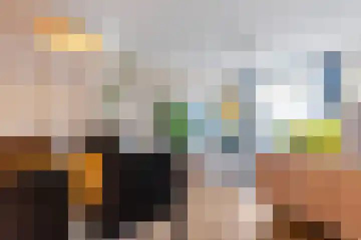 Soestdijksekade 4 Den Haag thumbnail 6