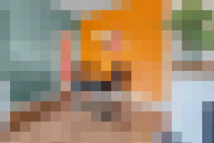 Soestdijksekade 4 Den Haag thumbnail 7