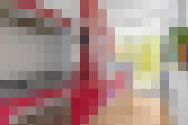 Soestdijksekade 4 Den Haag thumbnail 9