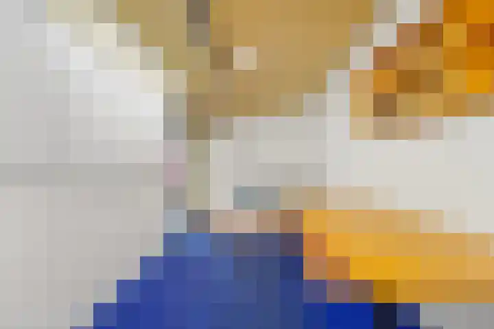 Soestdijksekade 40 Den Haag thumbnail 17