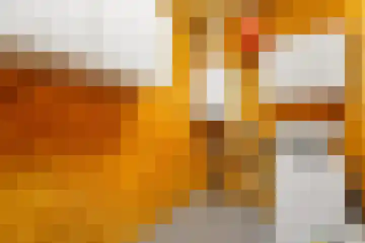 Soestdijksekade 40 Den Haag thumbnail 18