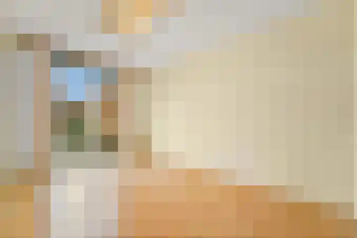 Soestdijksekade 40 Den Haag thumbnail 19