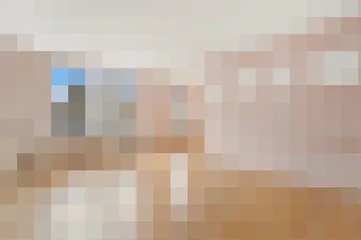 Soestdijksekade 40 Den Haag thumbnail 6