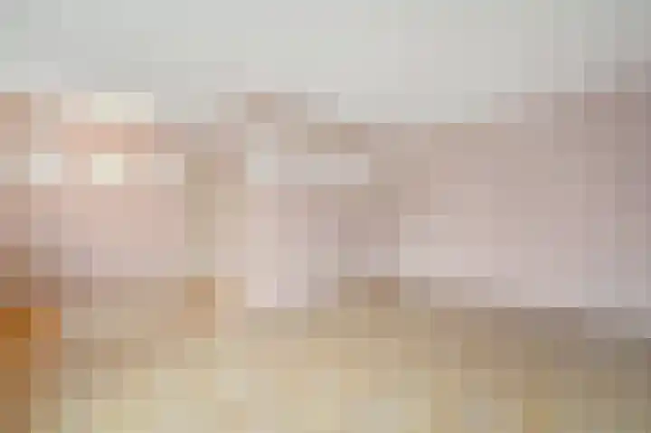 Soestdijksekade 40 Den Haag thumbnail 7