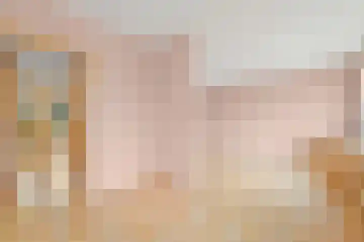 Soestdijksekade 40 Den Haag thumbnail 9