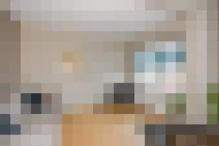 Soestdijksekade 41 Den Haag thumbnail 10