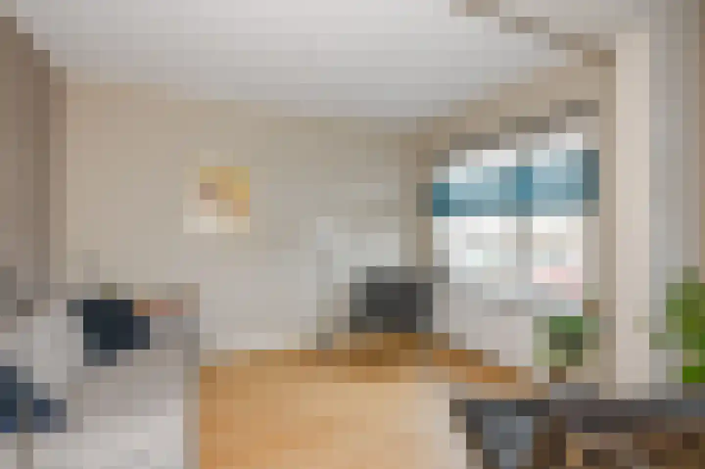 Soestdijksekade 41 Den Haag thumbnail 10