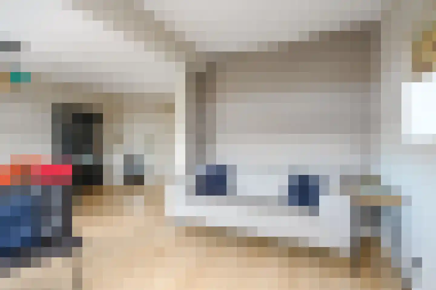 Soestdijksekade 41 Den Haag thumbnail 12