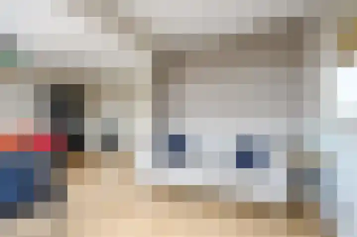 Soestdijksekade 41 Den Haag thumbnail 12