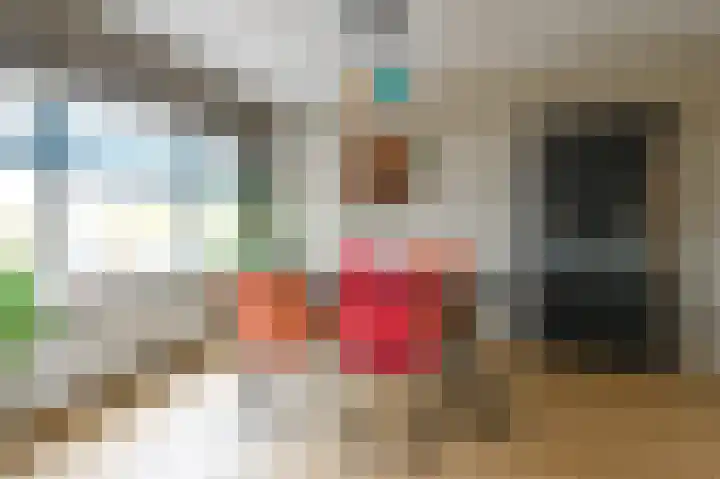 Soestdijksekade 41 Den Haag thumbnail 13