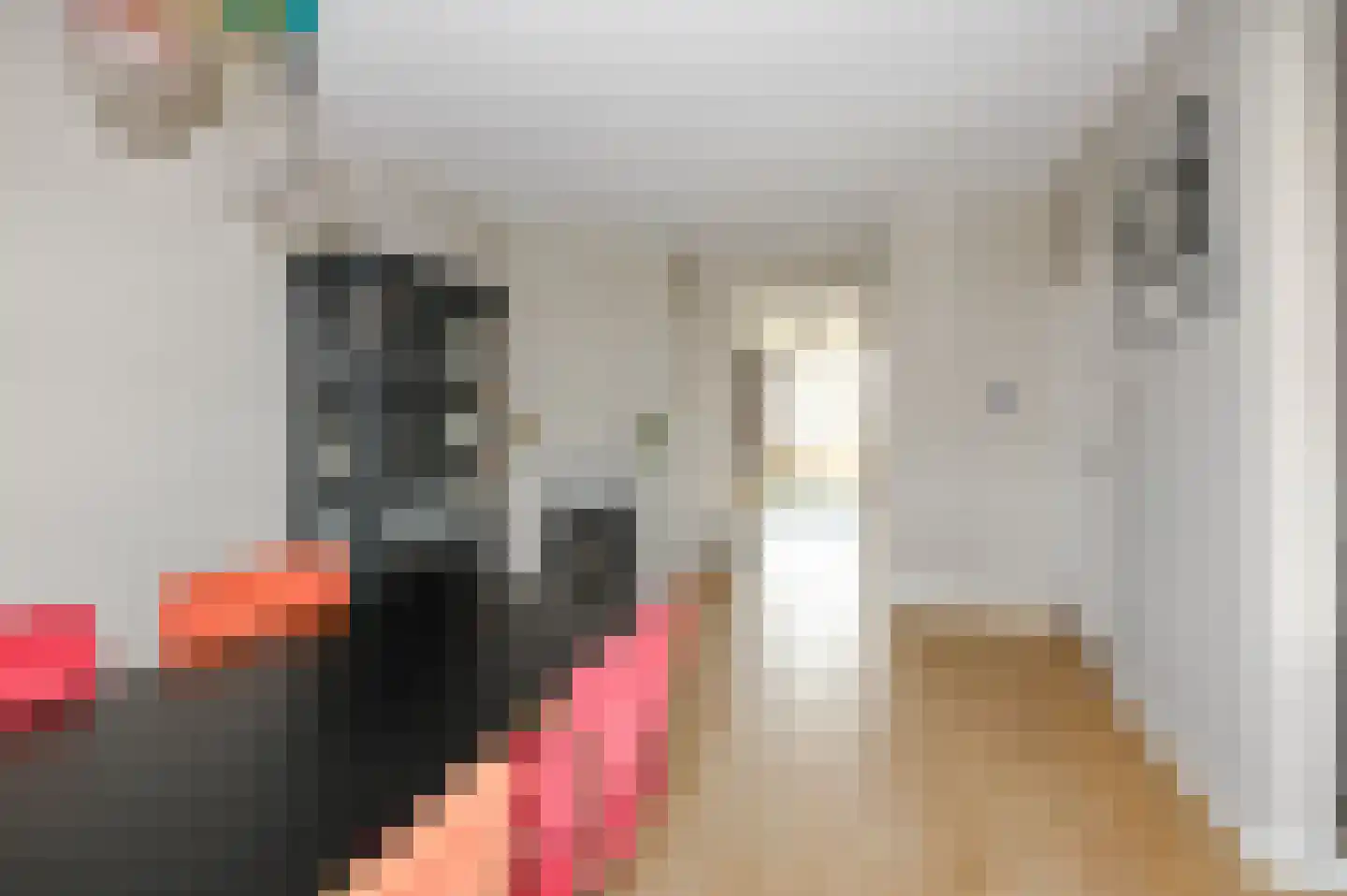 Soestdijksekade 41 Den Haag thumbnail 14