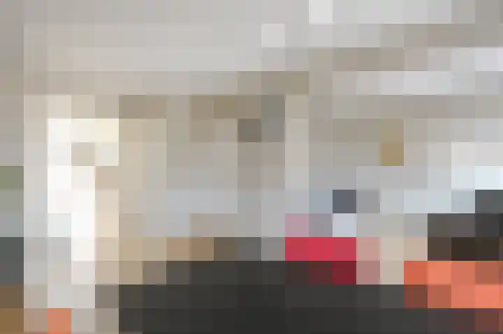 Soestdijksekade 41 Den Haag thumbnail 15