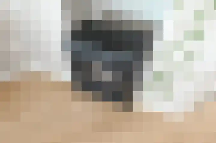 Soestdijksekade 41 Den Haag thumbnail 17