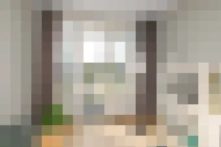 Soestdijksekade 41 Den Haag thumbnail 20
