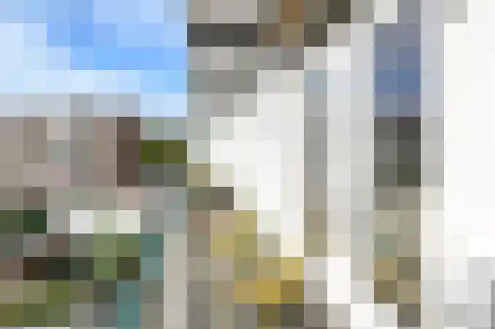 Soestdijksekade 41 Den Haag thumbnail 23