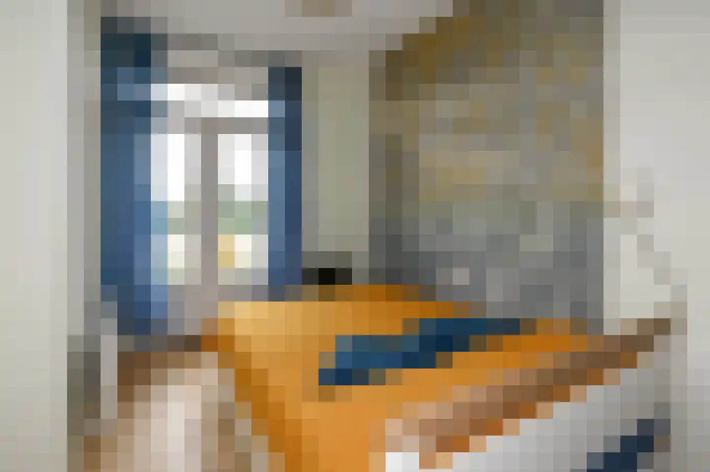 Soestdijksekade 41 Den Haag thumbnail 29