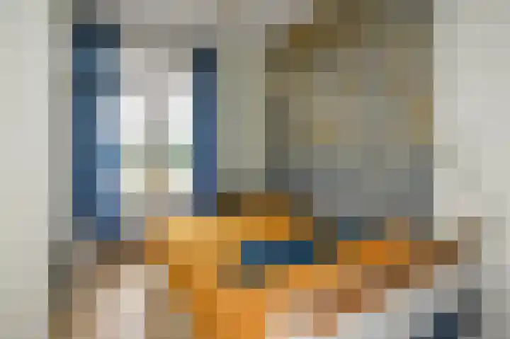 Soestdijksekade 41 Den Haag thumbnail 29