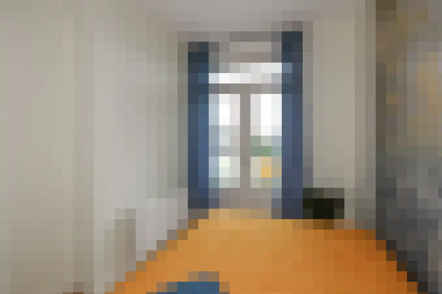 Soestdijksekade 41 Den Haag thumbnail 30