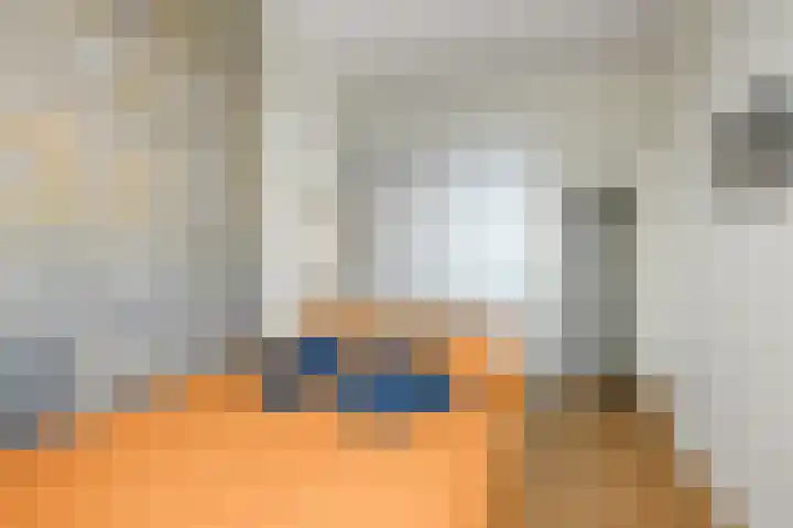 Soestdijksekade 41 Den Haag thumbnail 31