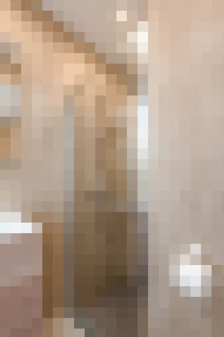 Soestdijksekade 41 Den Haag thumbnail 34