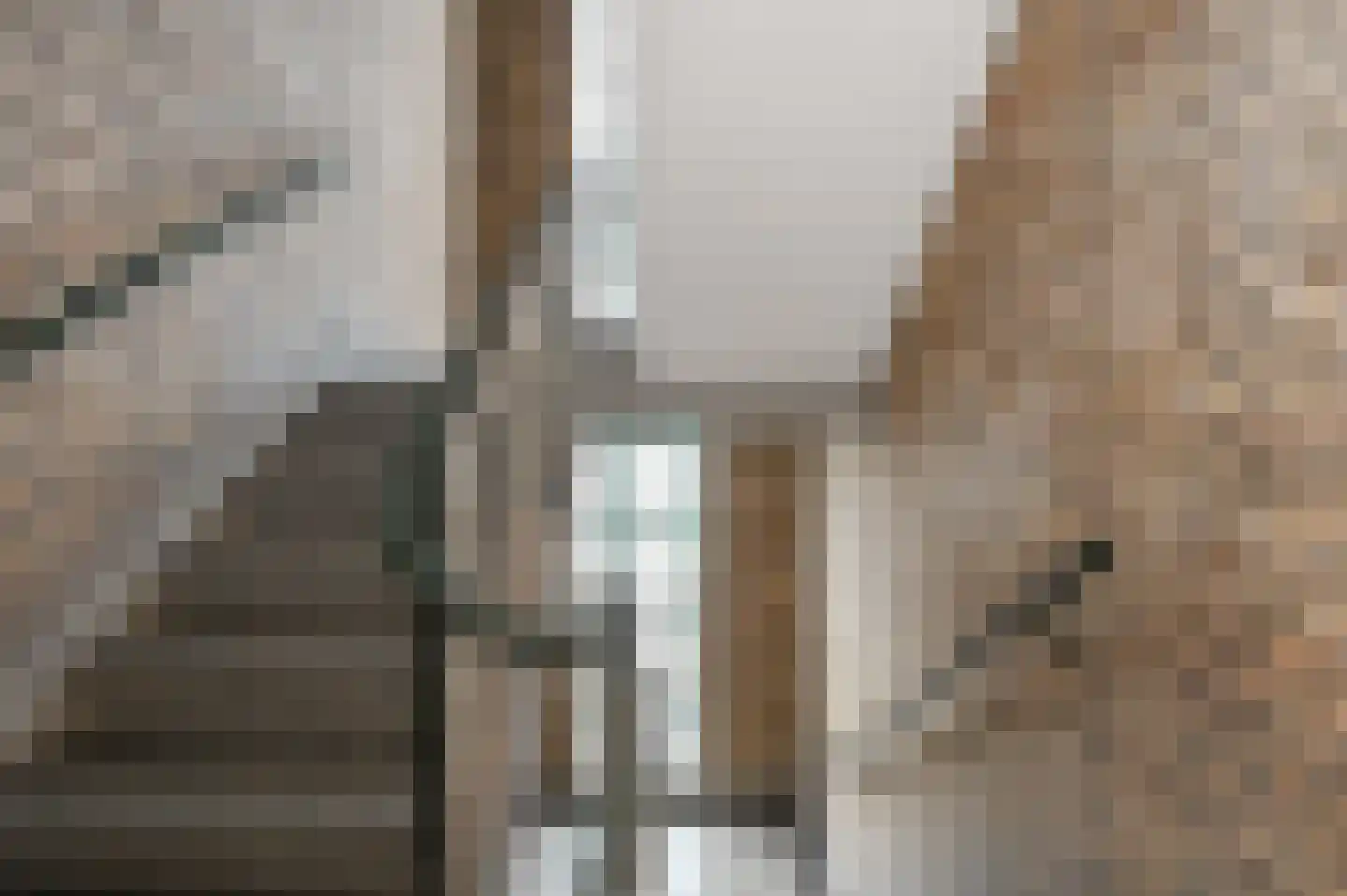 Soestdijksekade 41 Den Haag thumbnail 5