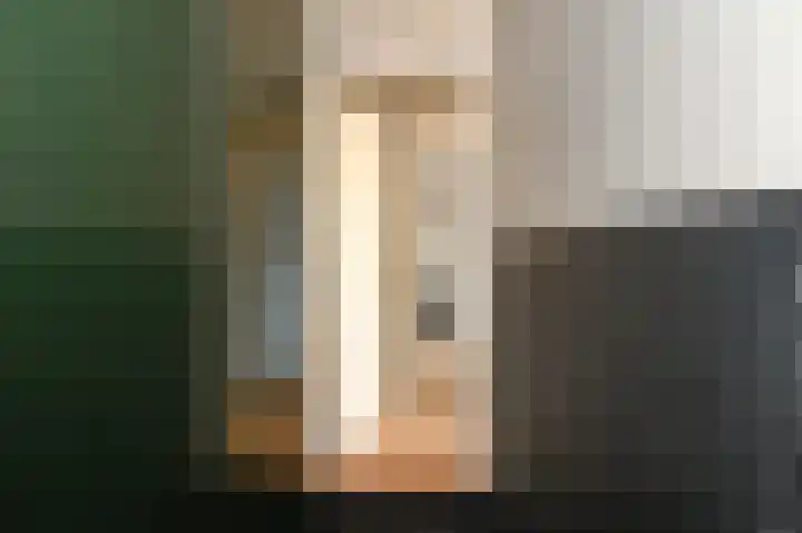 Soestdijksekade 41 Den Haag thumbnail 6