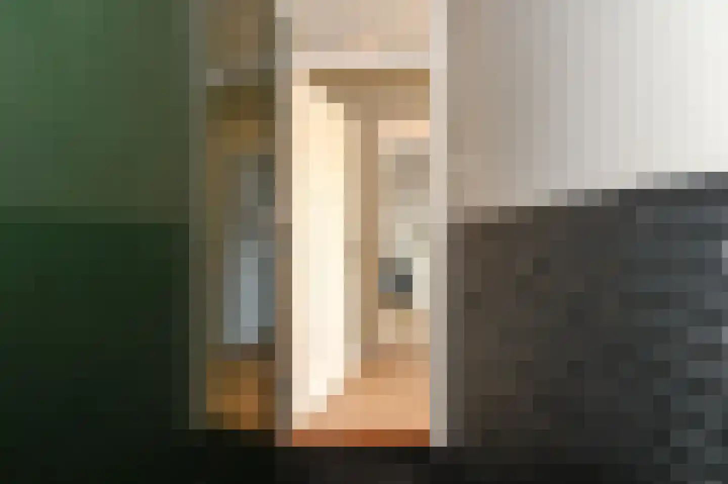 Soestdijksekade 41 Den Haag thumbnail 6