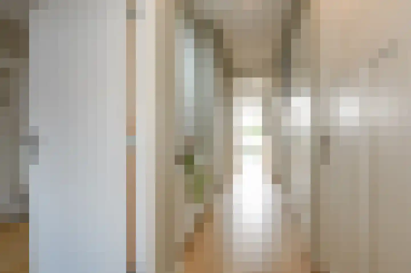 Soestdijksekade 41 Den Haag thumbnail 8