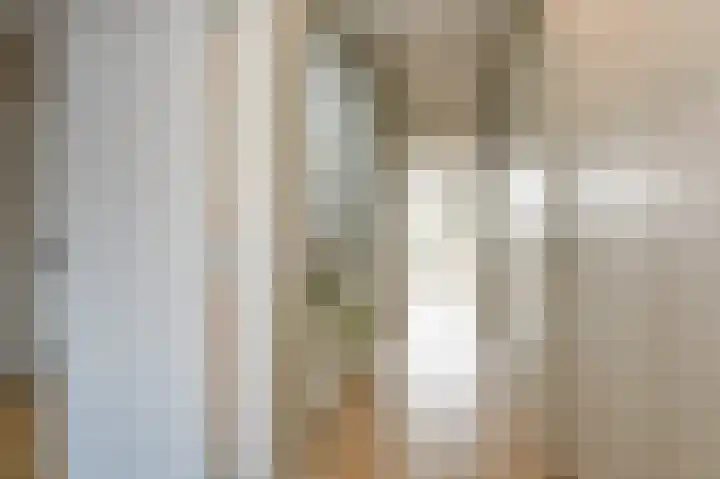 Soestdijksekade 41 Den Haag thumbnail 8