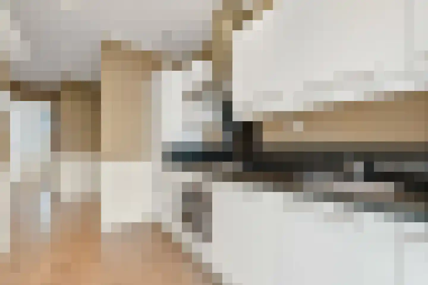 Soestdijksekade 42 Den Haag thumbnail 15