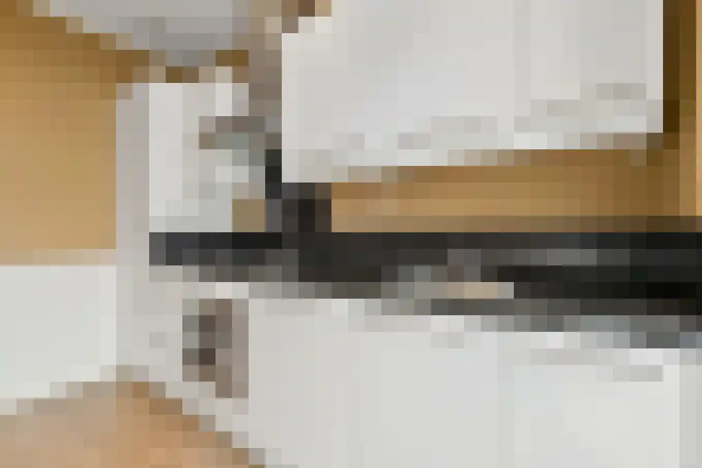 Soestdijksekade 42 Den Haag thumbnail 17