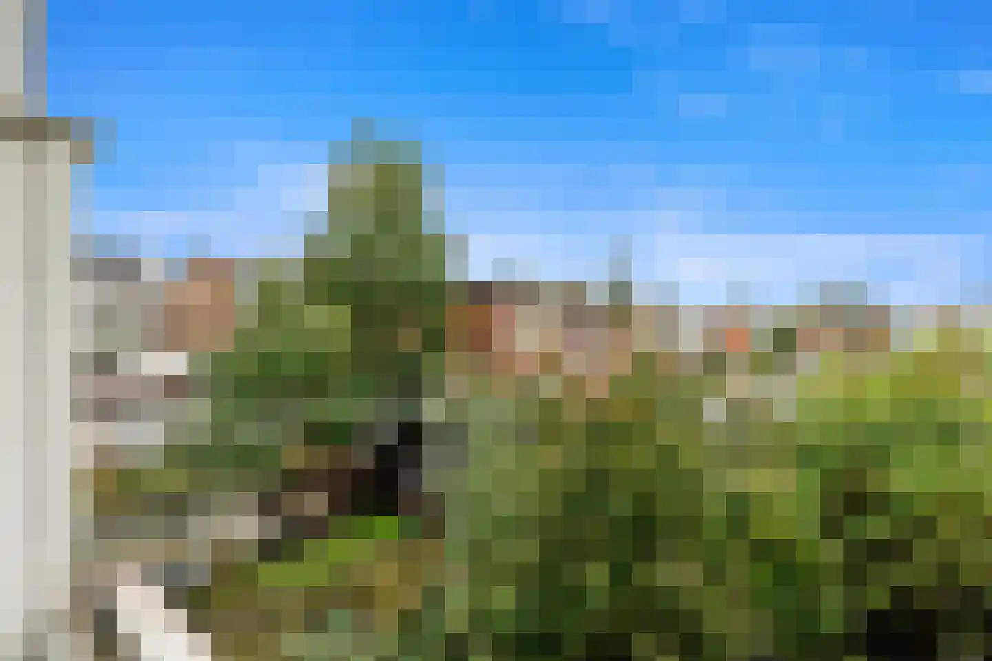Soestdijksekade 42 Den Haag thumbnail 19