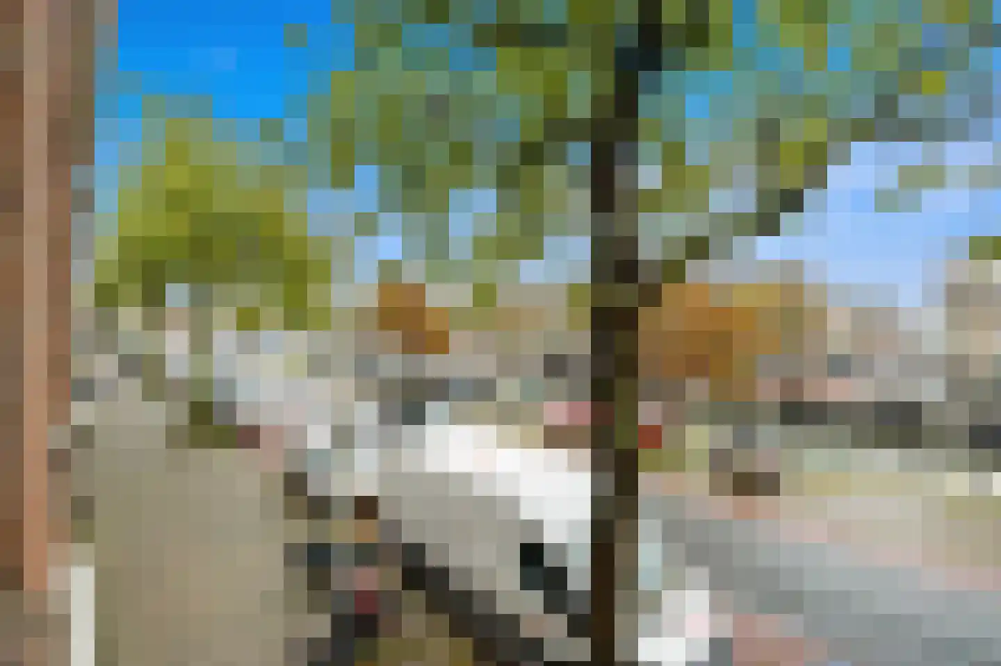 Soestdijksekade 42 Den Haag thumbnail 32