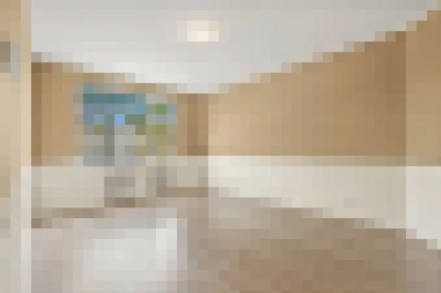 Soestdijksekade 42 Den Haag thumbnail 8