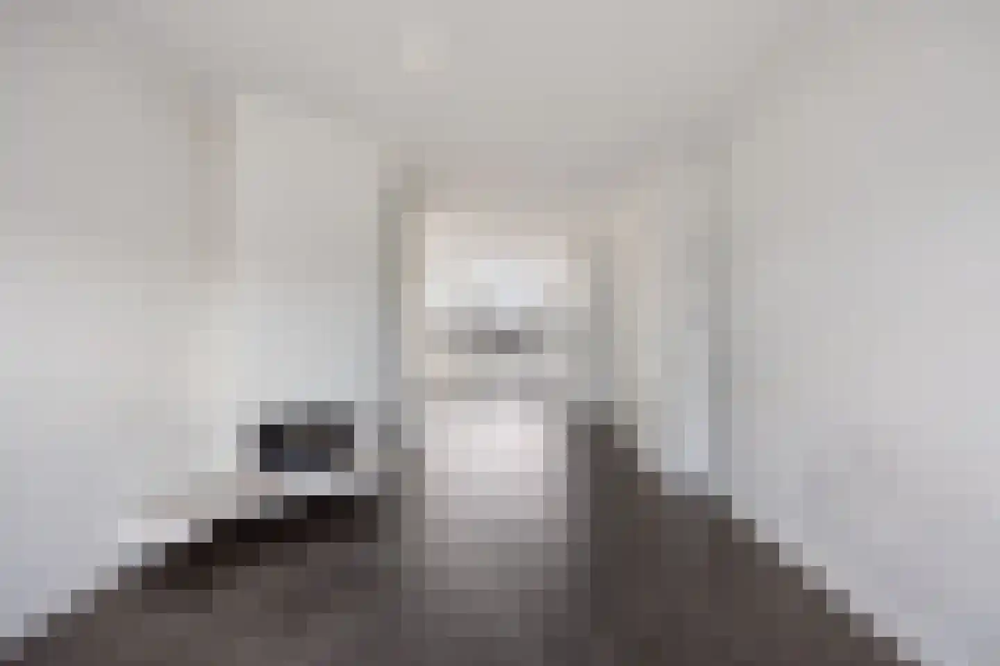 Soestdijksekade 433 Den Haag thumbnail 15