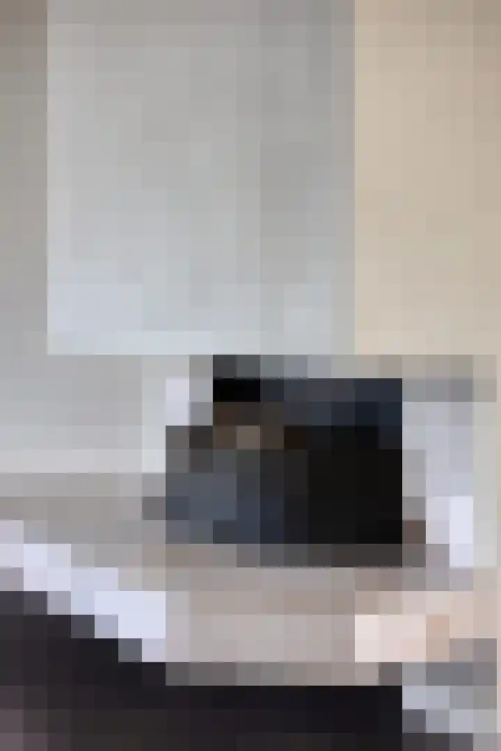 Soestdijksekade 433 Den Haag thumbnail 17