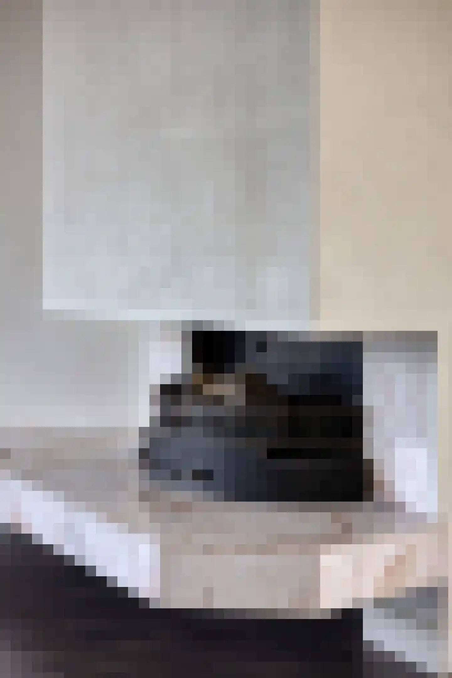 Soestdijksekade 433 Den Haag thumbnail 17