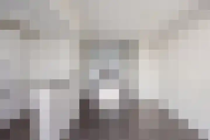 Soestdijksekade 433 Den Haag thumbnail 21