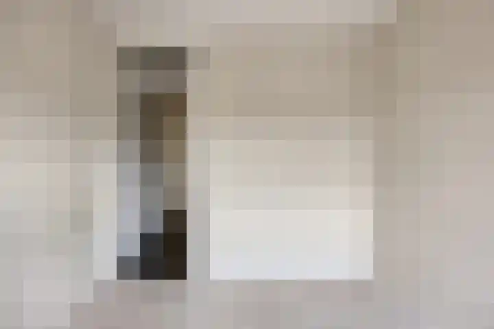 Soestdijksekade 433 Den Haag thumbnail 26
