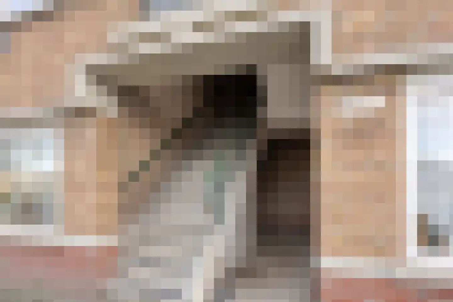 Soestdijksekade 433 Den Haag thumbnail 6